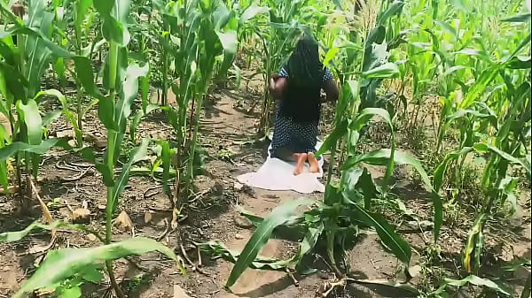 Farm doggyshot