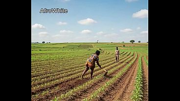 poor nigerian naija african young farmer and husband fucks ugly looking sexy black ebony dark poor village hot house wife in a farm land [AI – Generated]